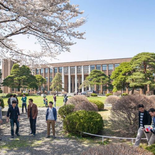 Điều kiện du học Hàn Quốc 2025 mới nhất: Học phí, Học bổng, Visa và các chi phí du học Hàn Quốc