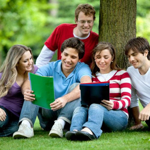 Canada siết chính sách nhập cư: Du học sinh giảm mạnh, xu hướng du học thay đổi