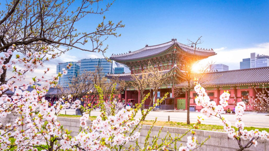 Điều kiện du học Hàn Quốc cơ bản 